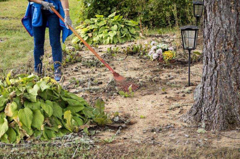 Site Clearing Service in Atlanta, GA